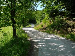 Precejšnji del ceste je trenutno še v makadamski izvedbi.